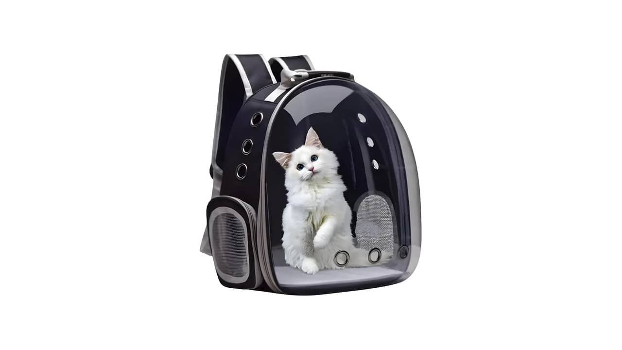 Melhor Bolsa de Transporte para Gato: Comodidade e Segurança