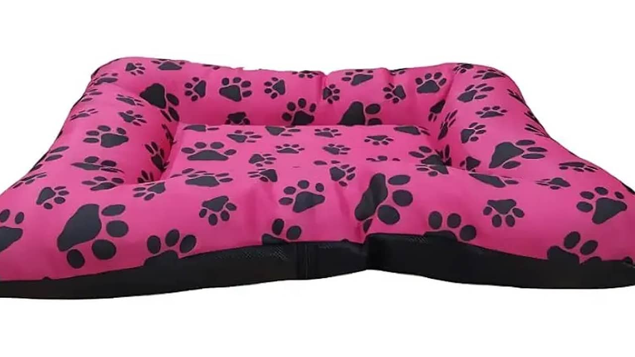 Melhor Caminha de Cachorro: Conforto e Durabilidade Para Seu Amigo Fiel