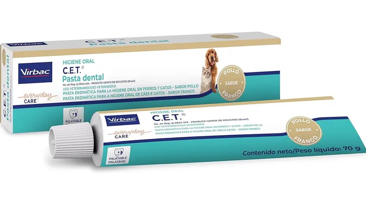 Melhor Pasta de Dente para Cachorro: Qual Escolher para Dental Saúde?